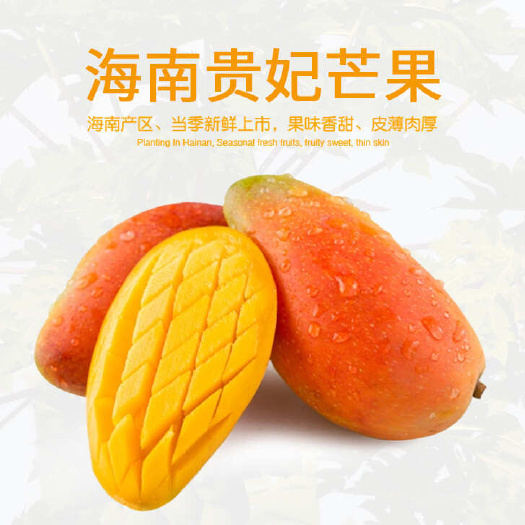 南宁贵妃芒新鲜水果芒果非金煌芒大青芒3/5/9斤现摘包邮一件代发