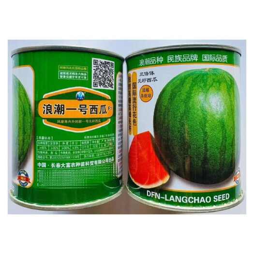 浪潮一号无籽西瓜种子