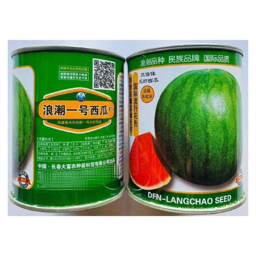 宿迁浪潮一号无籽西瓜种子