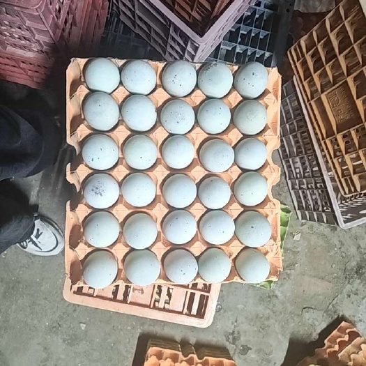 天门市松花皮蛋