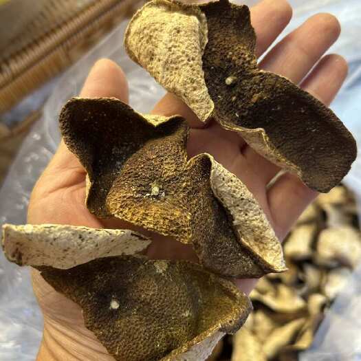 江门五年陈大红皮断皮（多数是两片相连