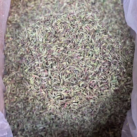 昆明野生紫芽苞