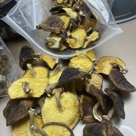 凤冈县马桑菌（干货、鲜货）