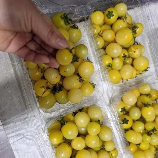 漳州支持一件代发
