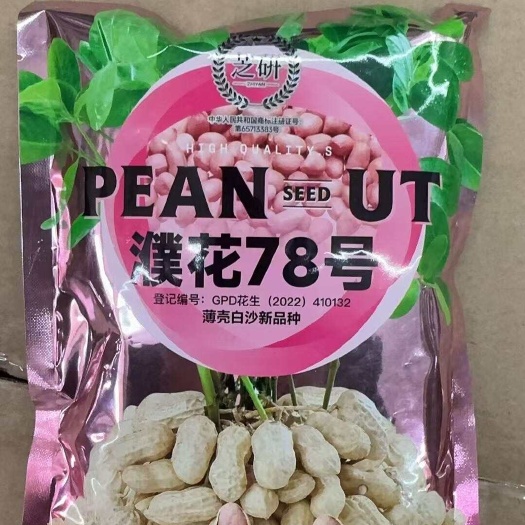 芝研薄壳花生种子罗汉果种子早熟高产抗病油食兼用花生种子春秋播