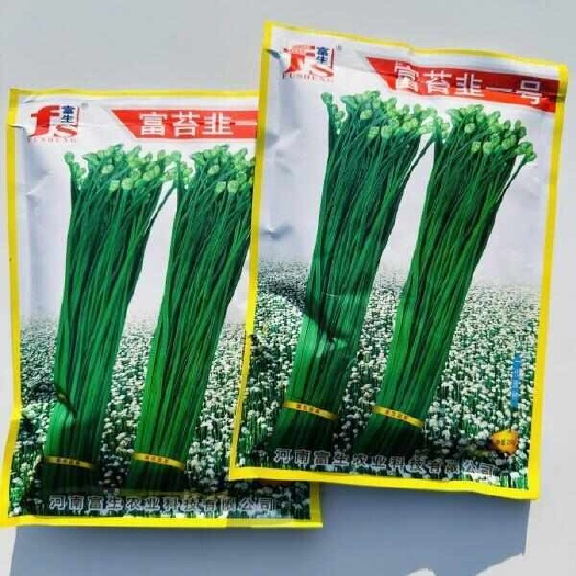 荥阳市富生韭菜种籽富苔韭一号韭苔种子四季苔韭种籽一代原种青韭种子