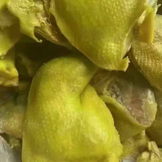成都全熟盐焗鸡腿