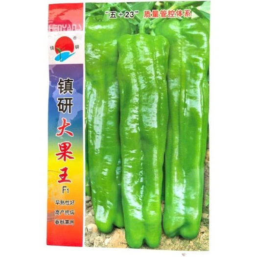常德镇研大果王辣椒 正宗优质早熟高产抗病特大牛角椒籽蔬菜种子大全