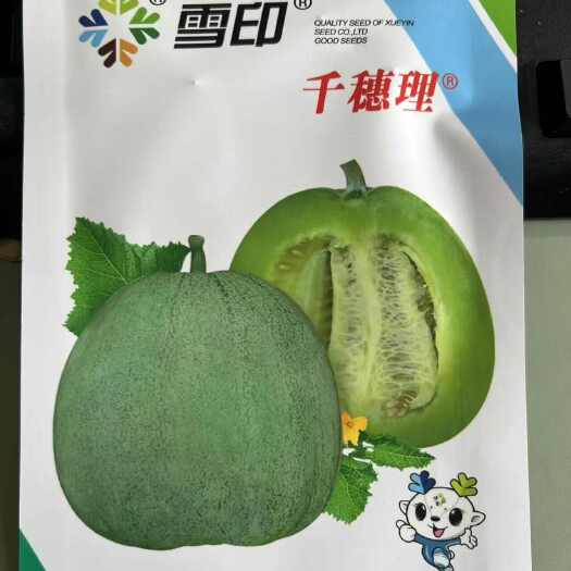 夏邑县雪印千穗理绿宝甜瓜种子，圆梨形，脆甜可口，口感好