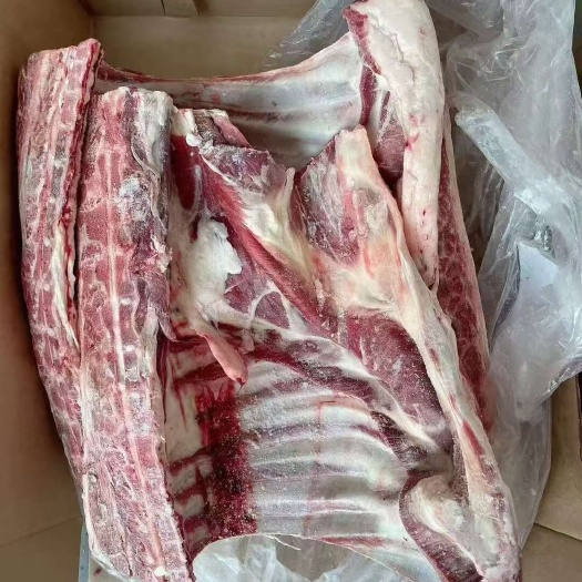 临沂羊腰脊排