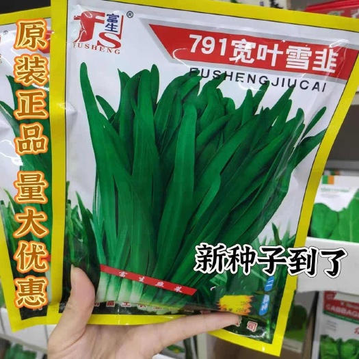 富生791宽叶雪韭韭菜种籽抗病抗寒冬季不休眠基地蔬菜种孑