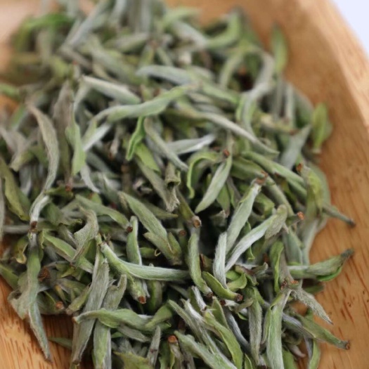 福鼎白茶白毫银针
