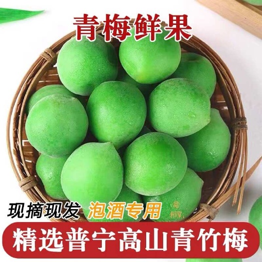 普宁市普宁青梅鲜果高山梅现摘梅子泡酒酸脆梅酵素果