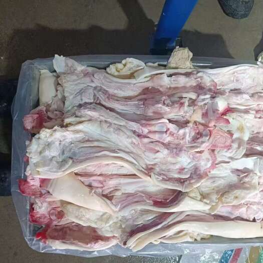 郑州牛蹄 育肥全去骨牛蹄 全国批发