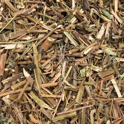 长期供应｛鬼针草金盏银盘｝可批量可零售量大从优【包邮】