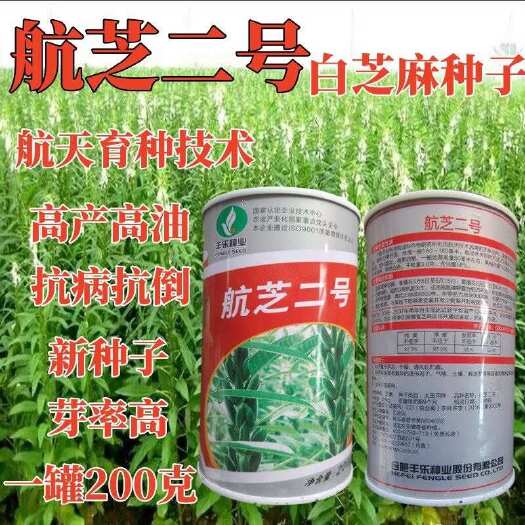 常德航芝二号 一号矮杆高产出油高 航天育种非转基因芝麻种子原种批