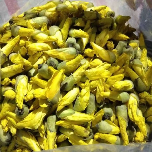 彬州市精选自种无硫金花葵花茶 黄蜀葵新货 种子花粉