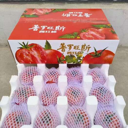 泾阳县陕西省泾阳县普陀旺斯西红柿上市了！！！
