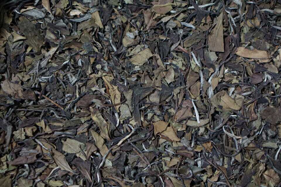 福鼎市老白茶，春寿眉，毫香蜜韵。
