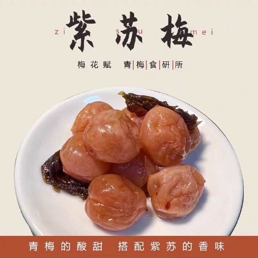 普宁市紫苏梅广东潮汕特产零食老少皆宜酸甜解腻