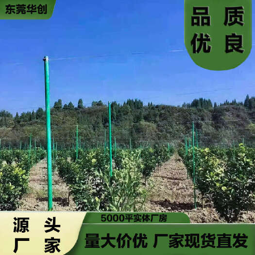 东莞市立柱支架百香果支架遮阳棚各种瓜果支架可替代水泥柱竹竿镀锌管