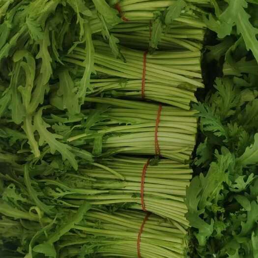 上海茼蒿