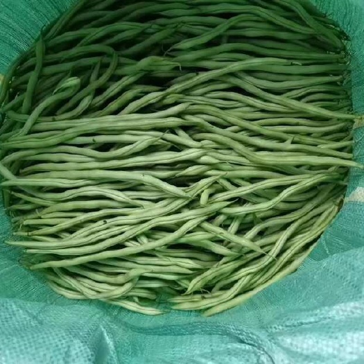 景洪市精品无筋豆，包售后