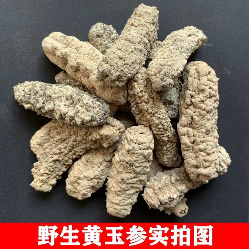 黄玉参