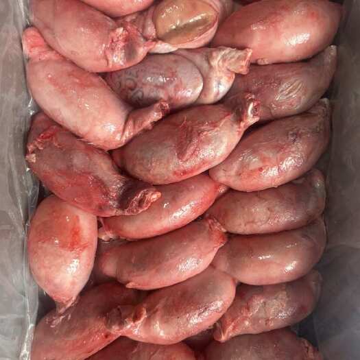 阳信县精选大个牛鞭宝加油站