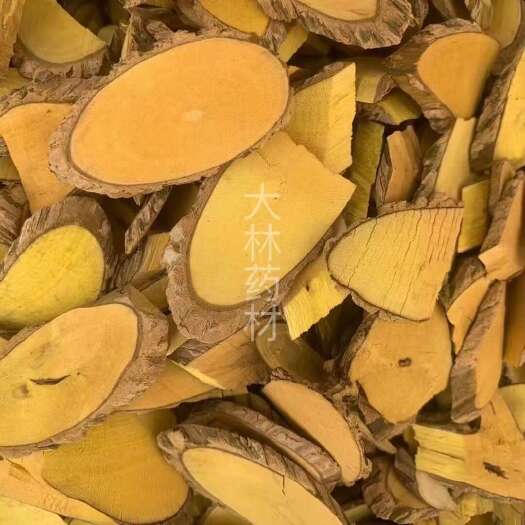 长期供应｛十大功劳木｝可批量可零售量大从优【包邮】