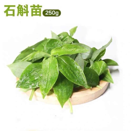 新鲜可食用石斛苗，养生蔬菜酒店特色菜