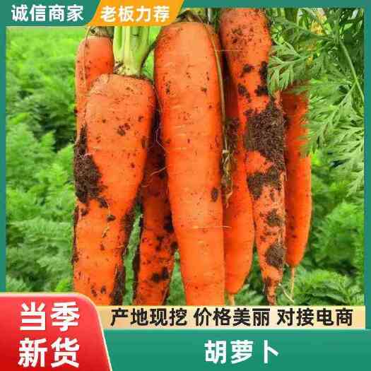 仙游县胡萝卜