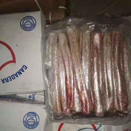 山东阳信新鲜牛鞭牛鞭宝 牛副产品 特色食材 食品经营许可保障