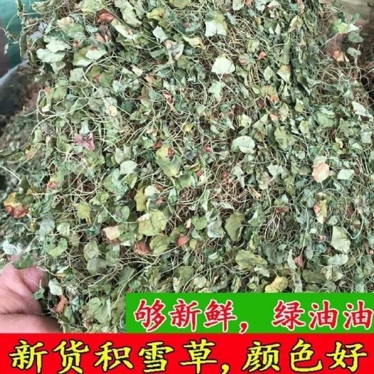 兴业县积雪草新货农家干货雷公根干崩大碗满天星中药材新鲜晒干