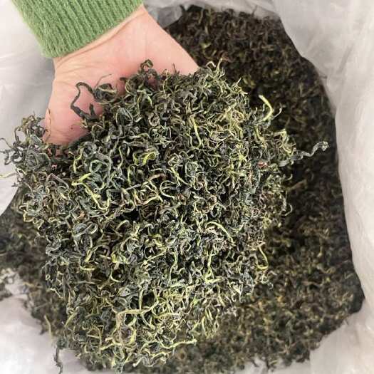 亳州蒲公英茶