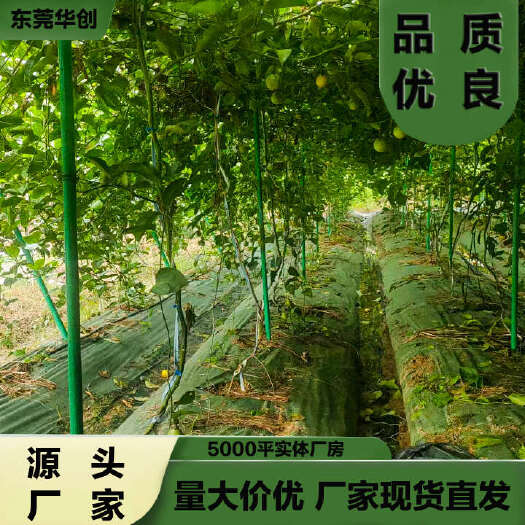 东莞市玻璃纤维管新型防鸟网立柱遮阳网支架新型豆角架五味子支架