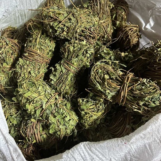广州鸡骨草