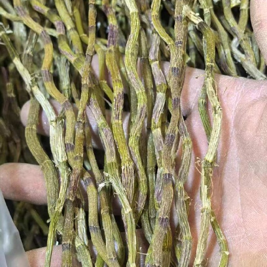 佛山铁皮石斛条干 地摊电商批发石斛粒石斛干条枫斗寸条石斛干干石斛
