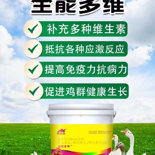 郑州全能多维