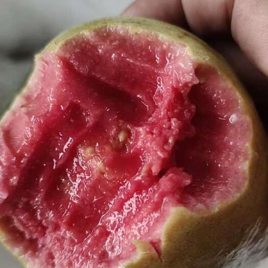漳州福建漳州自家种的芭乐