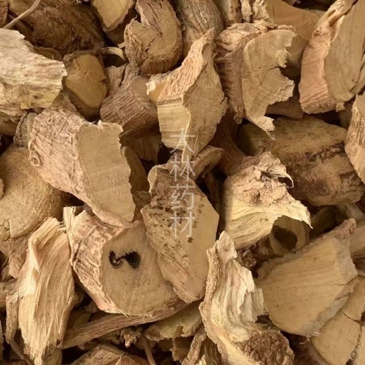 玉林长期供应｛黄花倒水莲｝可批量可零售量大从优【包邮】