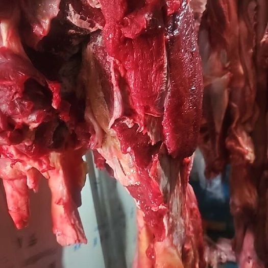加工四分体：工厂（胸腩连体，牛前，牛后，牛腱）