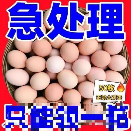 上海鸡蛋急处理