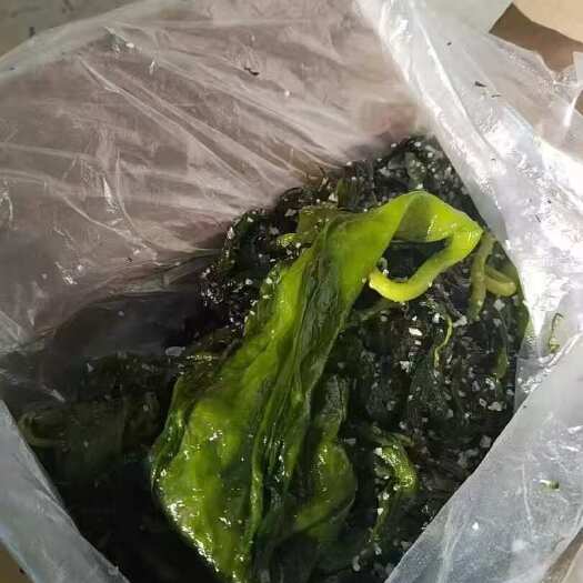 荣成市小海带