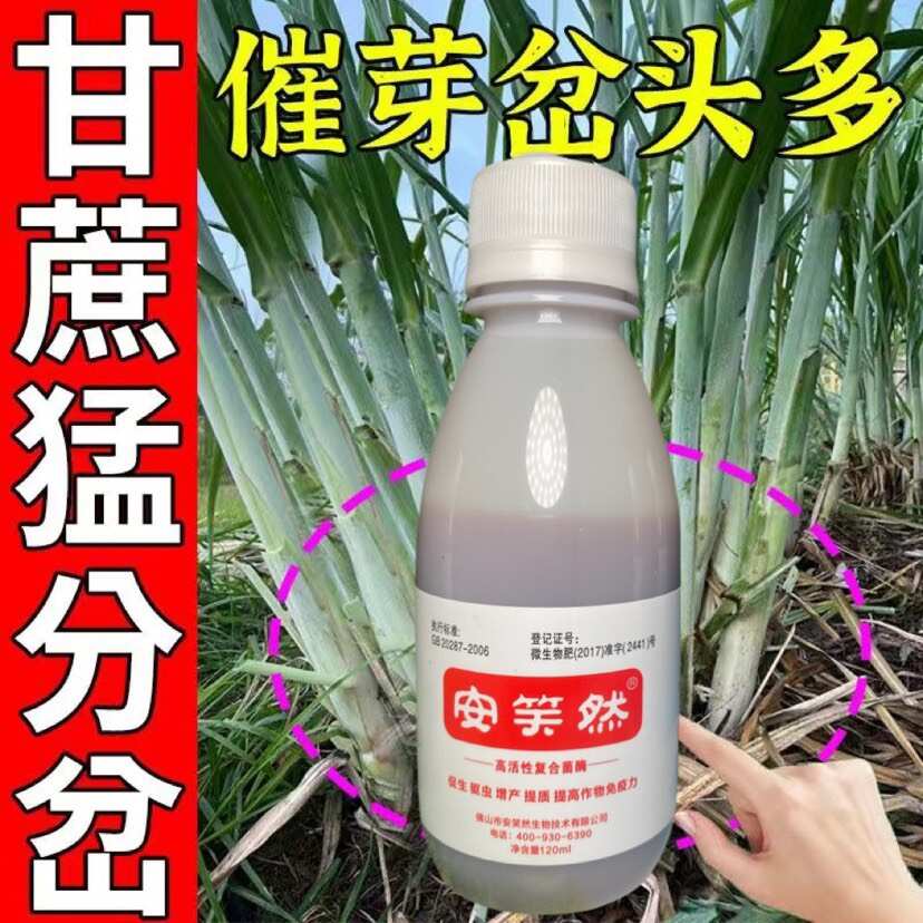 佛山微生物菌剂厂家正品保证