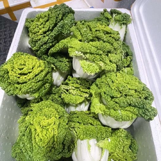 黄心乌