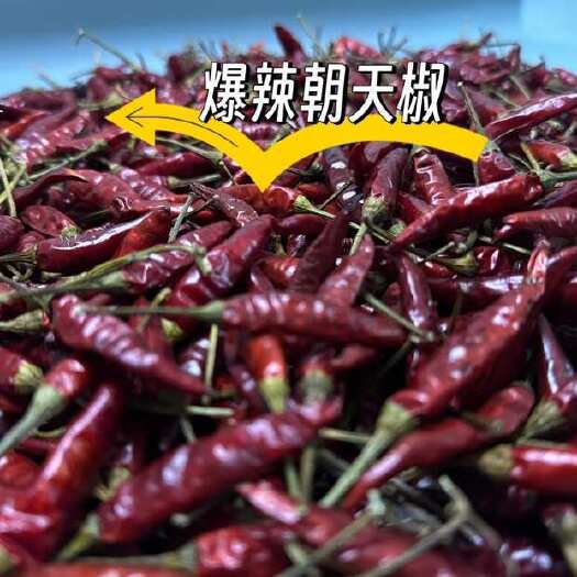 湄潭县贵州遵义干辣椒满天星