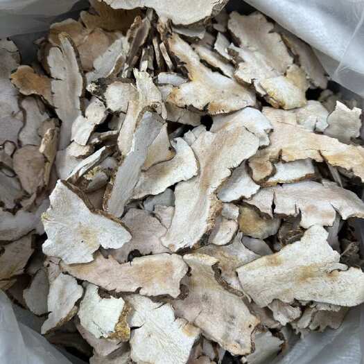 广州本地土茯苓片选片大片