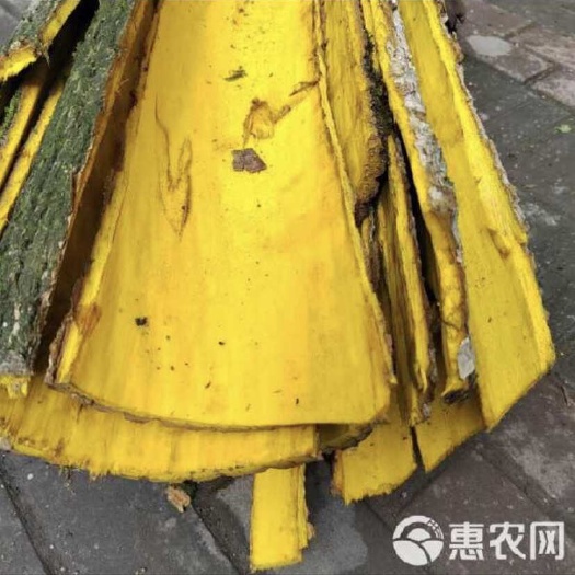 峨边县黄柏厚皮