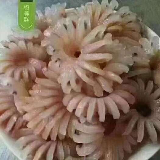 临沂牛鞭花